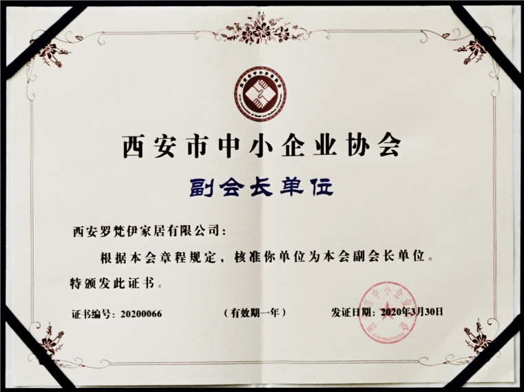 西安市中小企业协会副会长单位